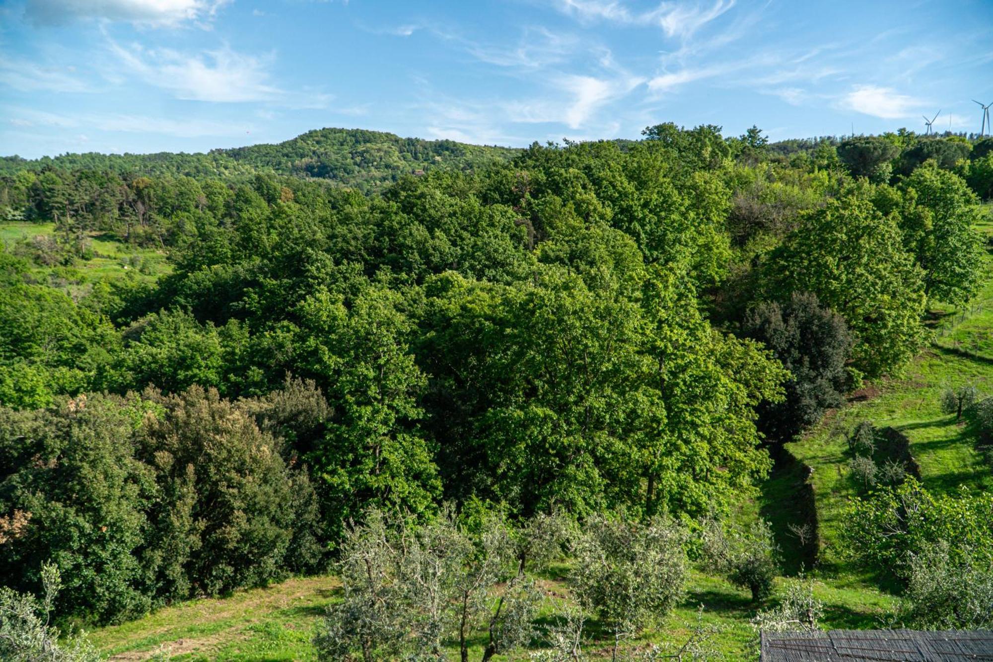 Piccozzo Agritour Aparthotel Casciana Terme Exterior photo